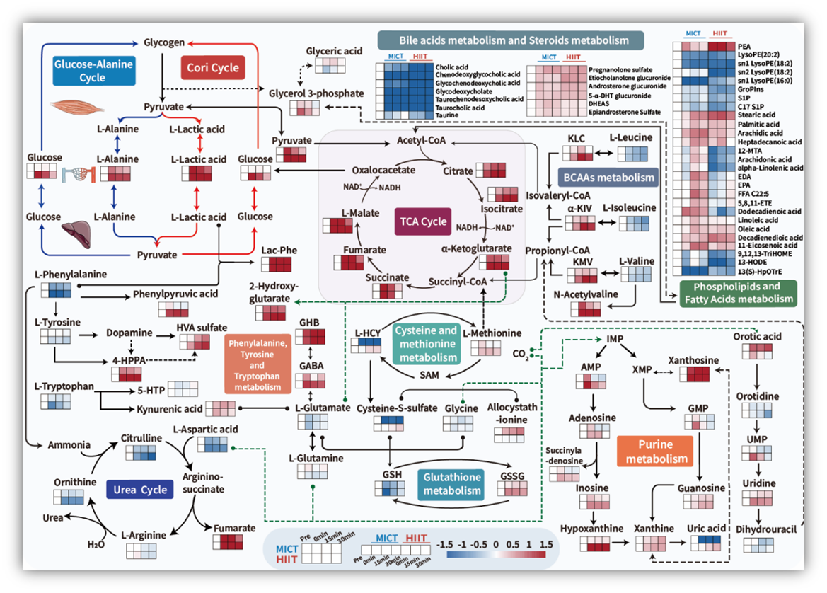 Multi-omics landscape